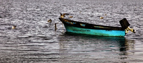 Etang Saint-Nazaire 3 W