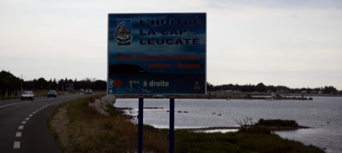 Leucate 1 W